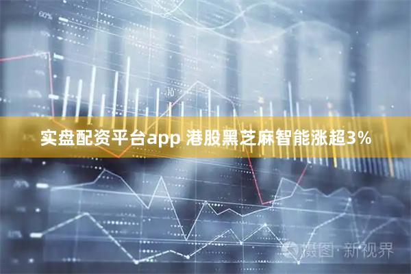 实盘配资平台app 港股黑芝麻智能涨超3%
