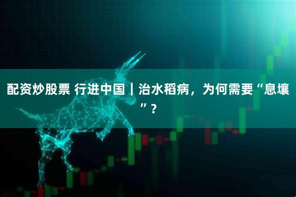配资炒股票 行进中国｜治水稻病，为何需要“息壤”？