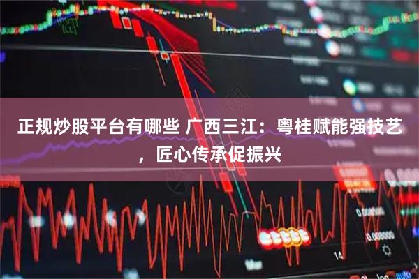 正规炒股平台有哪些 广西三江：粤桂赋能强技艺，匠心传承促振兴